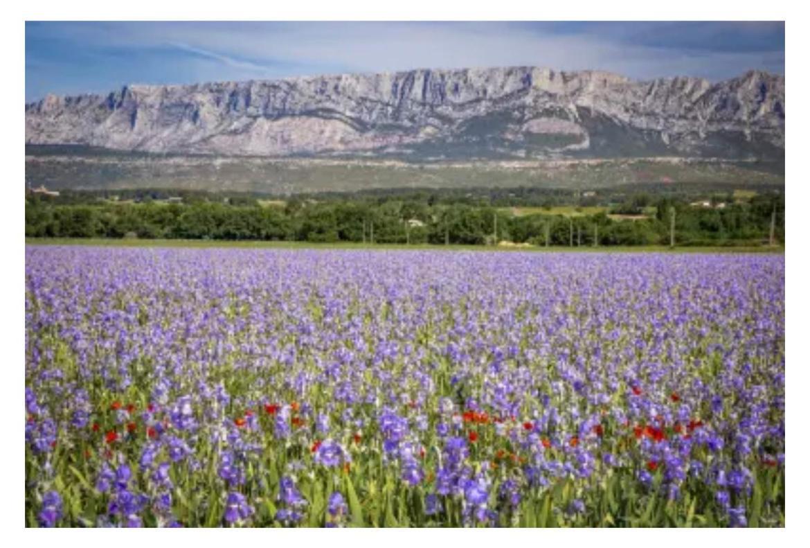 Aix-En-Provence, Cosy Studio Proche Toutes Commodites, Linges Fournis Kültér fotó